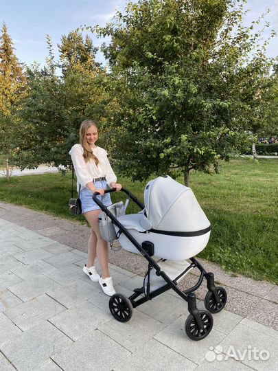 Коляска anex e type 2 в 1