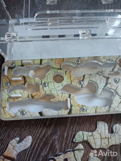 Муравьиная ферма без муравьев