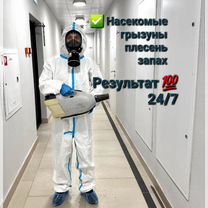 Дезинфекция тараканов,клопов,плесени травля клещей, Апрелевка