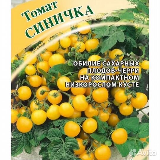 Рассада помидор 