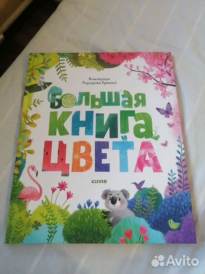 Большая книга цвета Clever