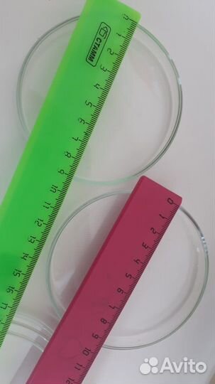 Чашка петри