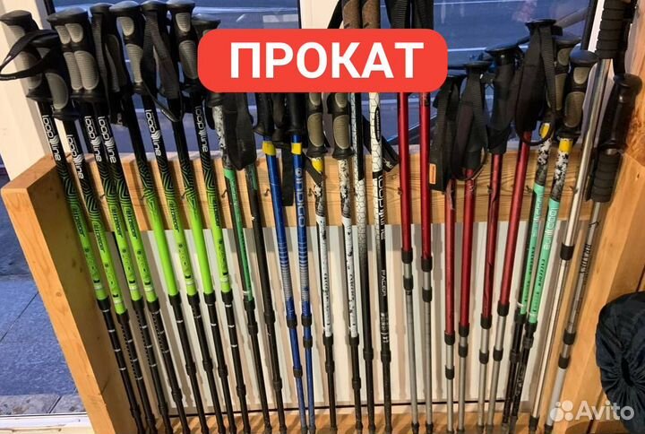 Треккинговые палки аренда - прокат