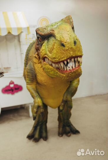 Аниматоры. Дино вечеринка. Динозавр Тирекс