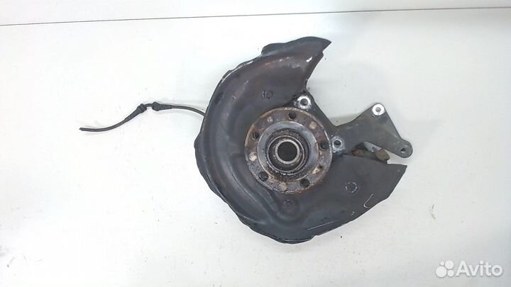 Ступица (кулак, цапфа) Volkswagen Tiguan, 2008