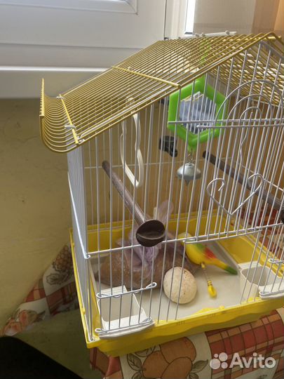 Клетка для попугая