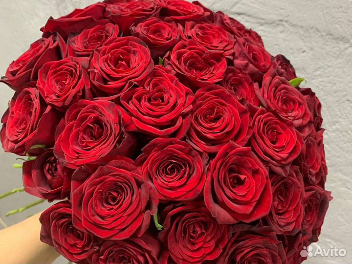 21 Роза Цветы Букеты 15 25 35 45 Розы Доставка