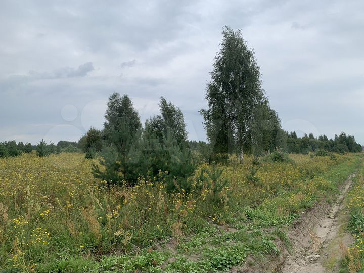 Участок 6 сот. (ИЖС)