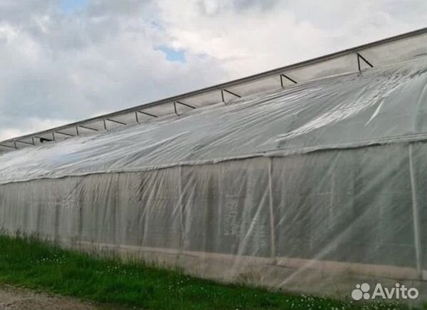 Тепличный агрокомплекс / С базой сбыта продукции