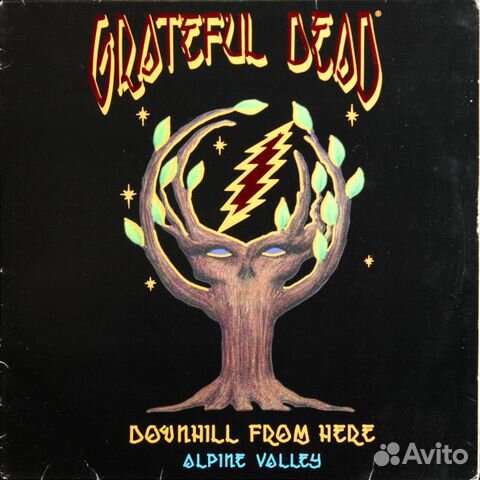 Grateful Dead / Downhill From Here: Alpine Valley
