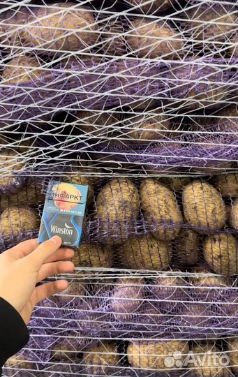 Картофель оптом