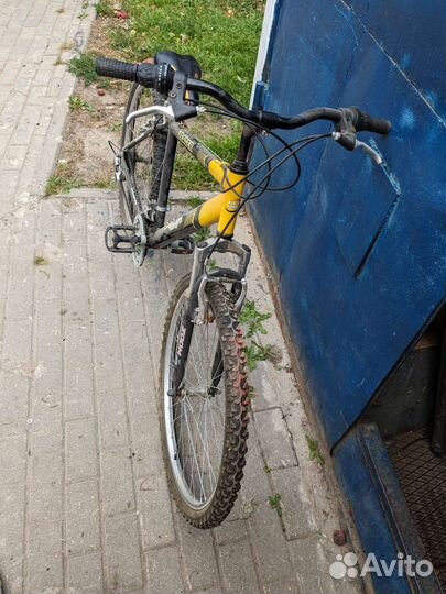 Blackhorse Leader 26