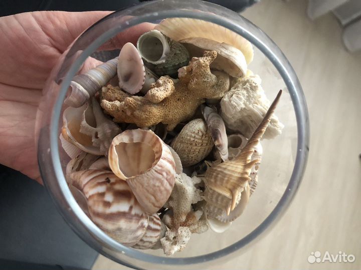 Интерьрная ваза с ракушками