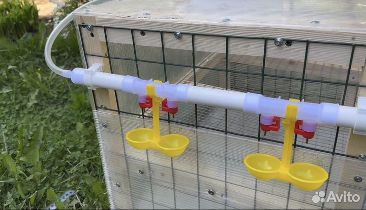 Клетки для перепелов