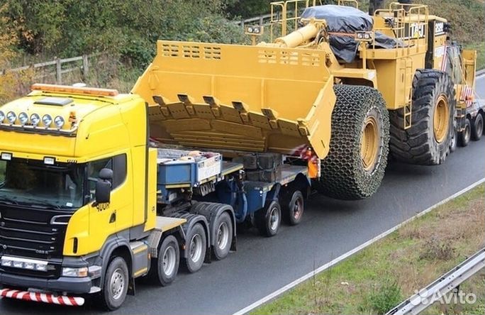 Грузоперевозки Трал