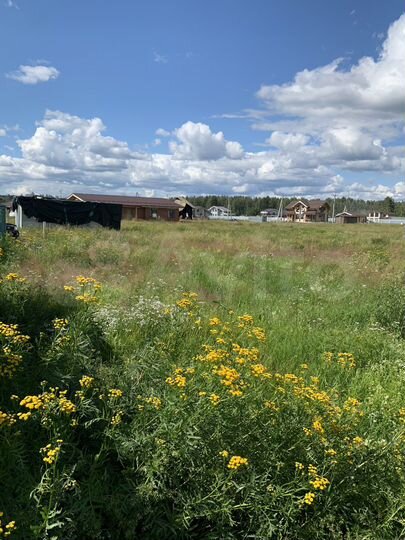 Участок 12,5 сот. (СНТ, ДНП)