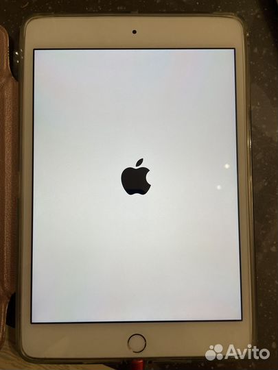 iPad mini 4 128gb cellular