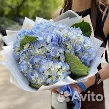 Букет гортензии с доставкой 5 гортензий