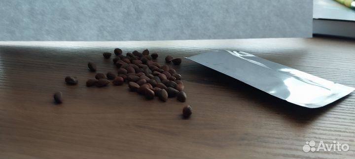 Семена кедрового стланика