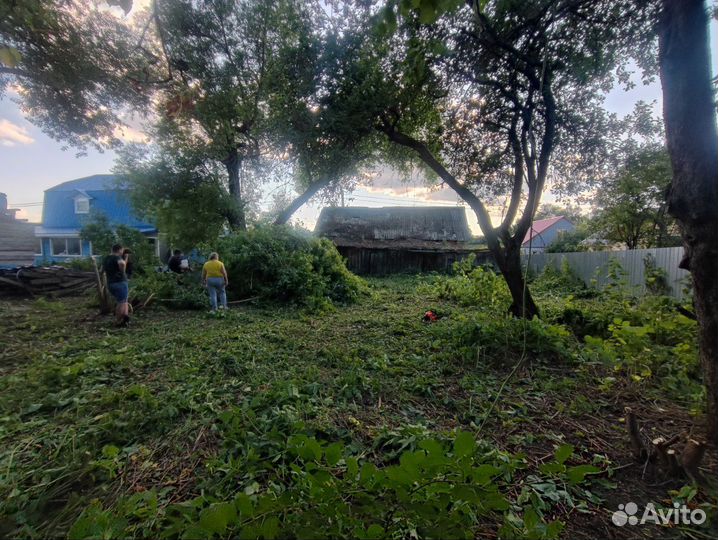 Срубить дерево