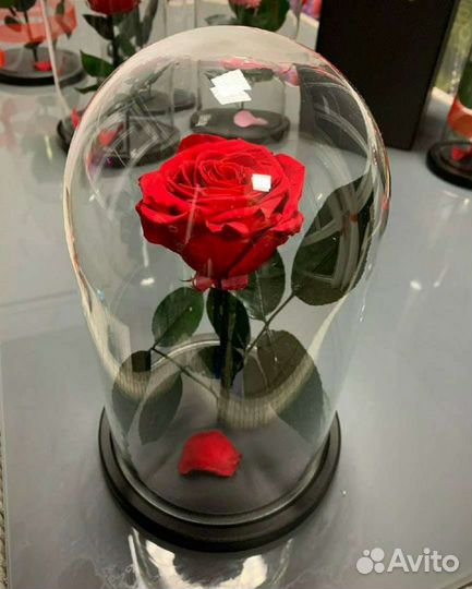 Роза в колбе 30см