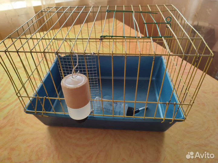 Клетка для крысы 38 см