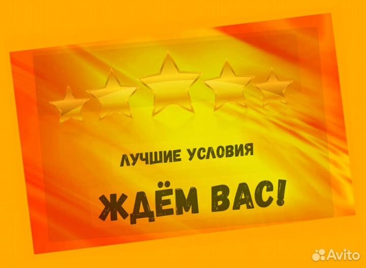 Сборщик заказов Выплаты еженедельно Без опыта М/Ж