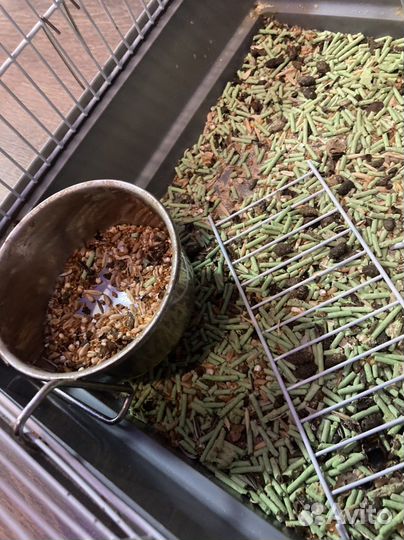 Продаю 2 клетки