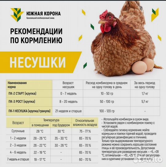 Комбикорм для кур несушек