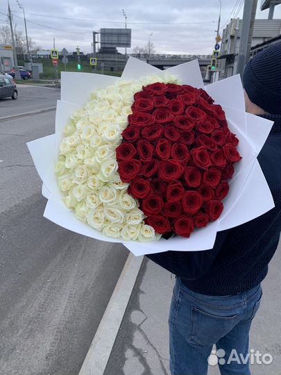 101 роза 51 роза красная белая