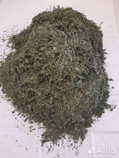 Кипрей узколистный. (Иван-чай)