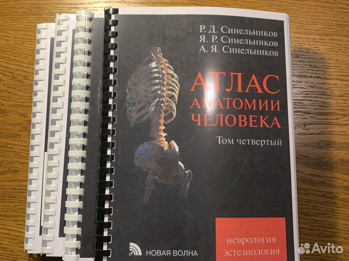 Атлас анатомии Синельников. Разные