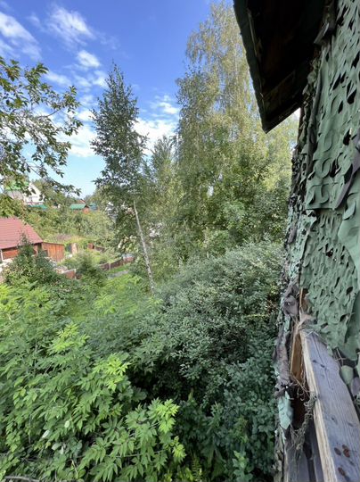 Участок 26,6 сот. (СНТ, ДНП)