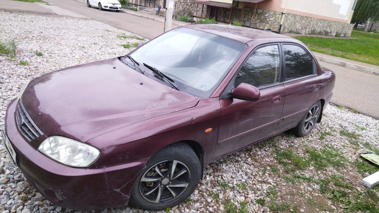 Kia Spectra: фото владельца