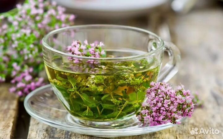 Душица,сортовая мята