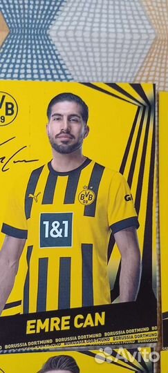 Автографы футболистов