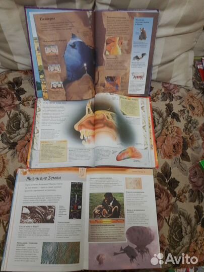 Современные и красочные энциклопедии