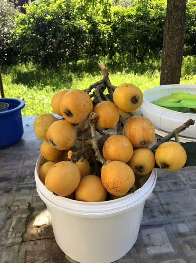 Дом 250 м² на участке 9,3 сот.