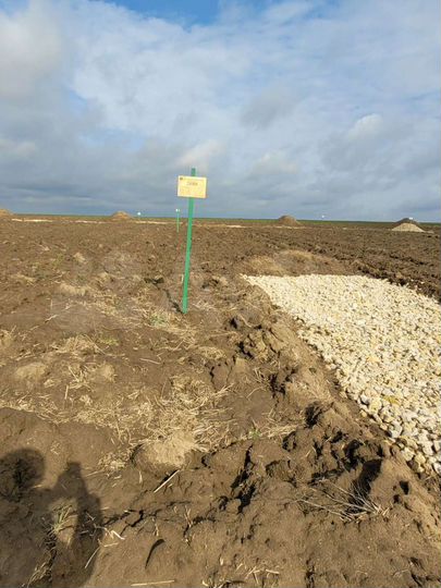 Участок 6 сот. (ИЖС)