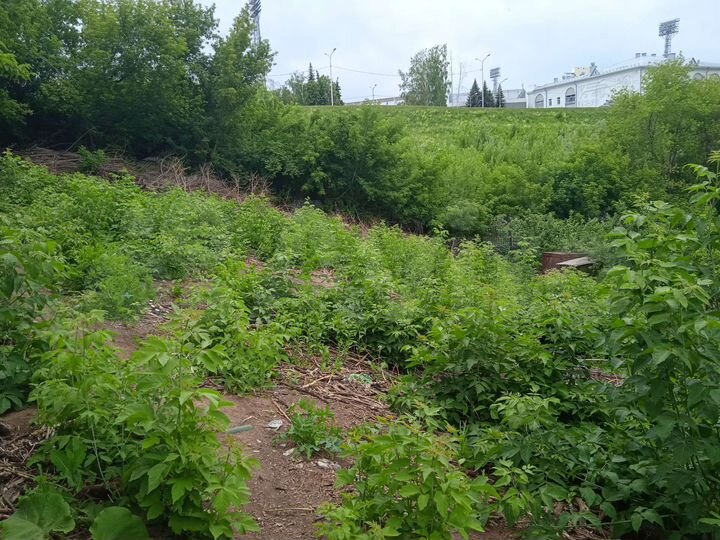 Участок 5 сот. (СНТ, ДНП)