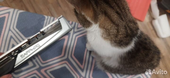 Radeon rx 5700 xt Sapphire Nitro