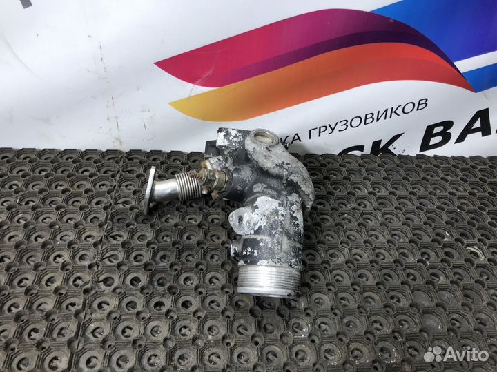 51094113645 Патрубок интеркулера Man TGA