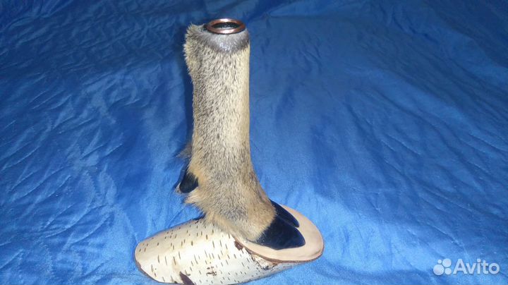 Копытце косули