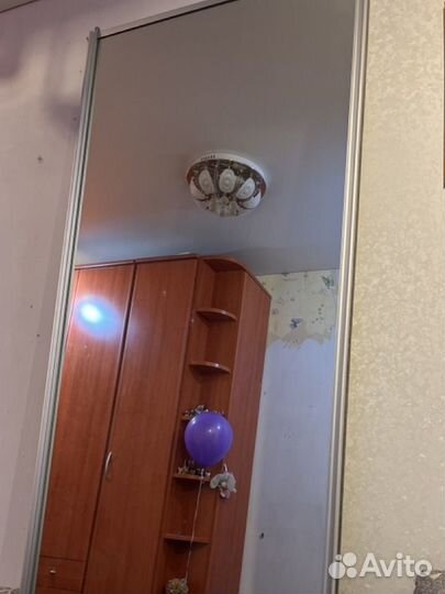 Зеркало дверь купе