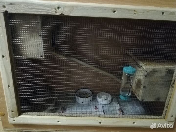 Клетка (витрина) для грызунов