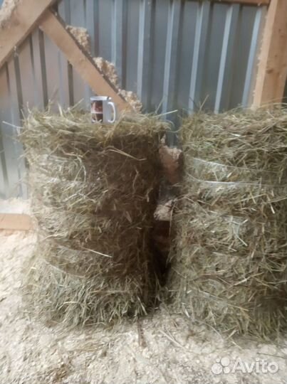 Сено, солома маленькие тюки