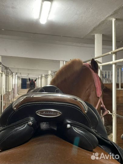 Седло конкурное Stubben