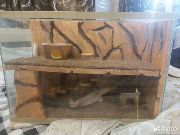 Террариум для эублефара