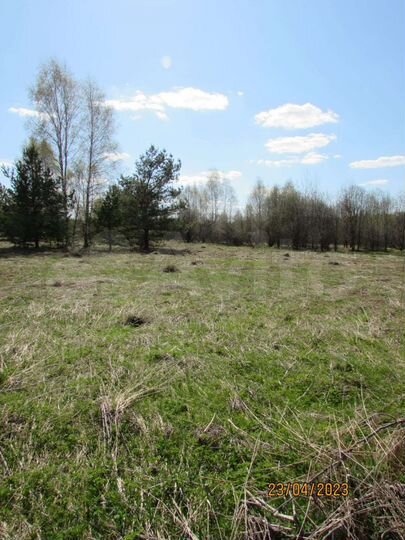 Участок 50 сот. (ИЖС)