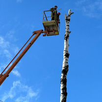 Спил деревьев любой сложности